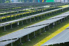 メガソーラー・太陽光発電施設の草刈り・除草