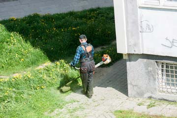 河川の大規模草刈り