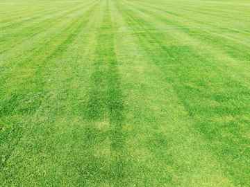 芝刈り 芝生のお手入れ